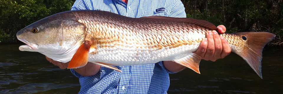 Boca Grande Fishing Charters