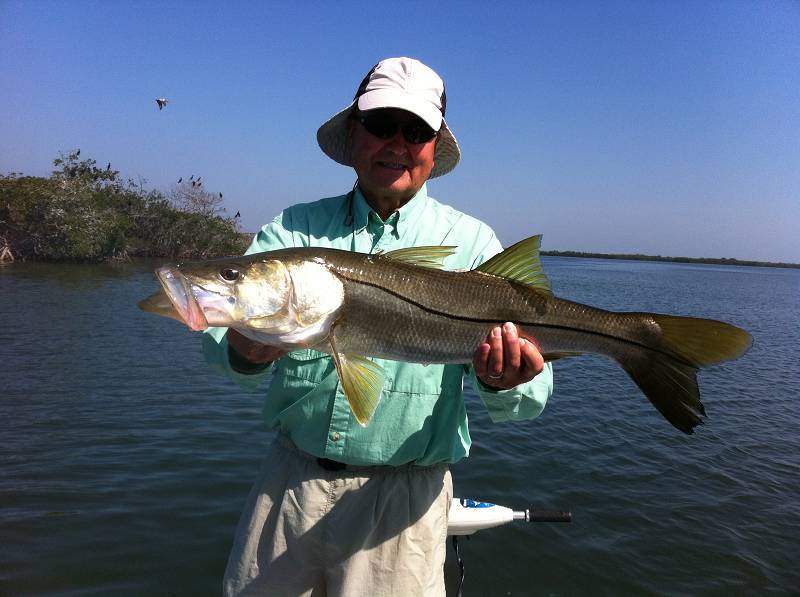 Fort Myers Fishing Guides