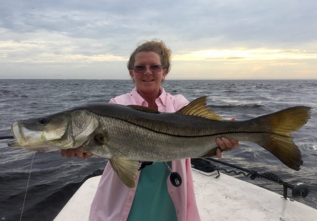 How to Fish for Snook in Florida: Land the Top Game Fish