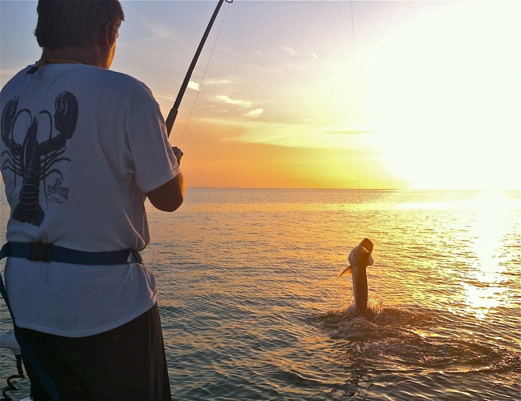 sunset Boca Grande Tarpon fishing