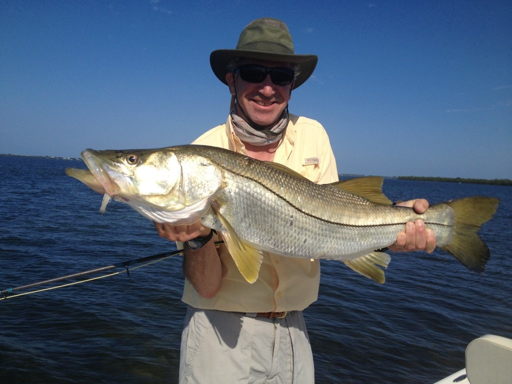 20 lb. snook on fly