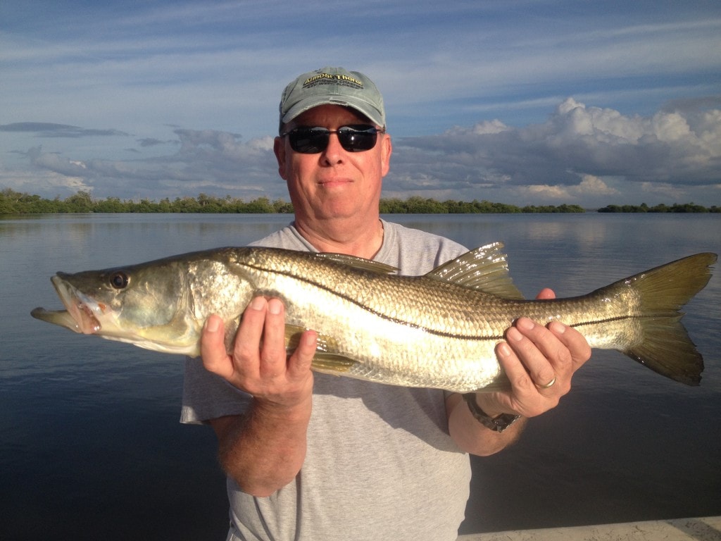 Nice snook from a January Boca grande fishing charter