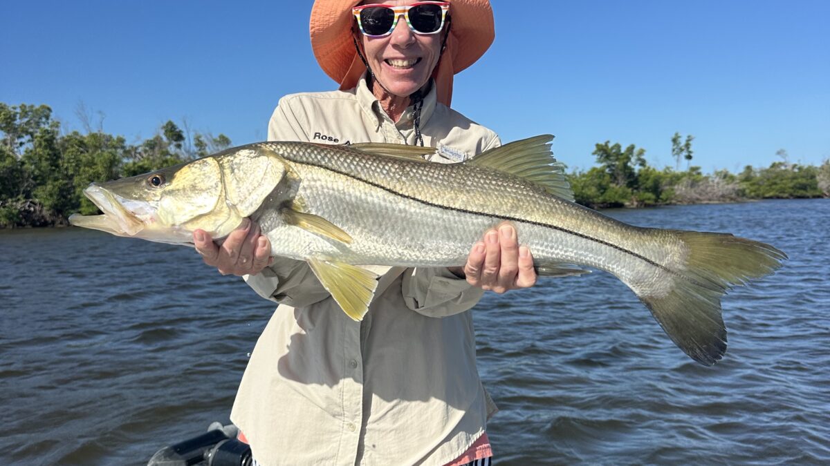 November Fishing Report| Punta Gorda & Boca Grande