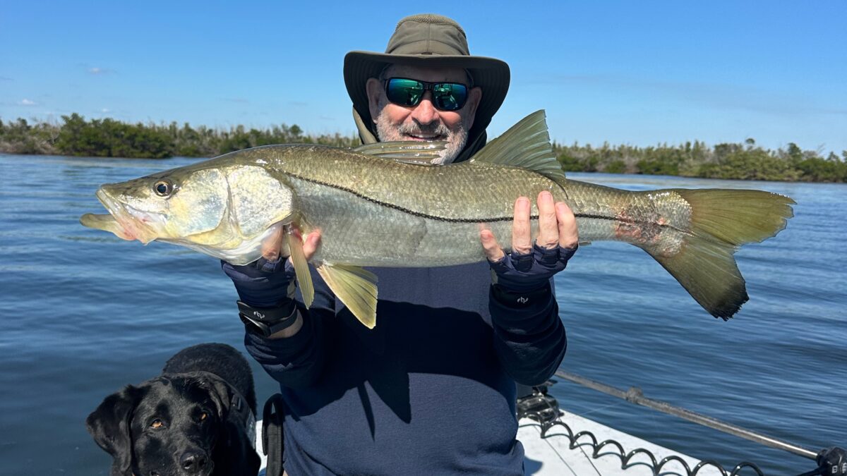 Punta Gorda & Boca Grande Fishing Report – Mid-November