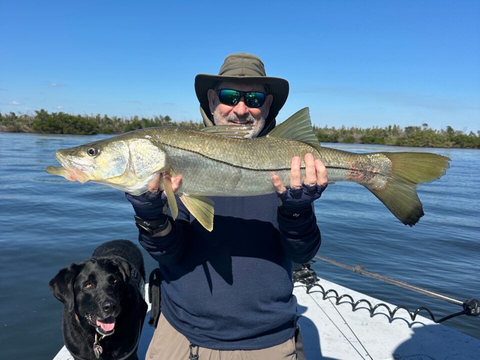 Man holding a large snook caught during a mid-November Punta Gorda fishing charter on Charlotte Harbor.