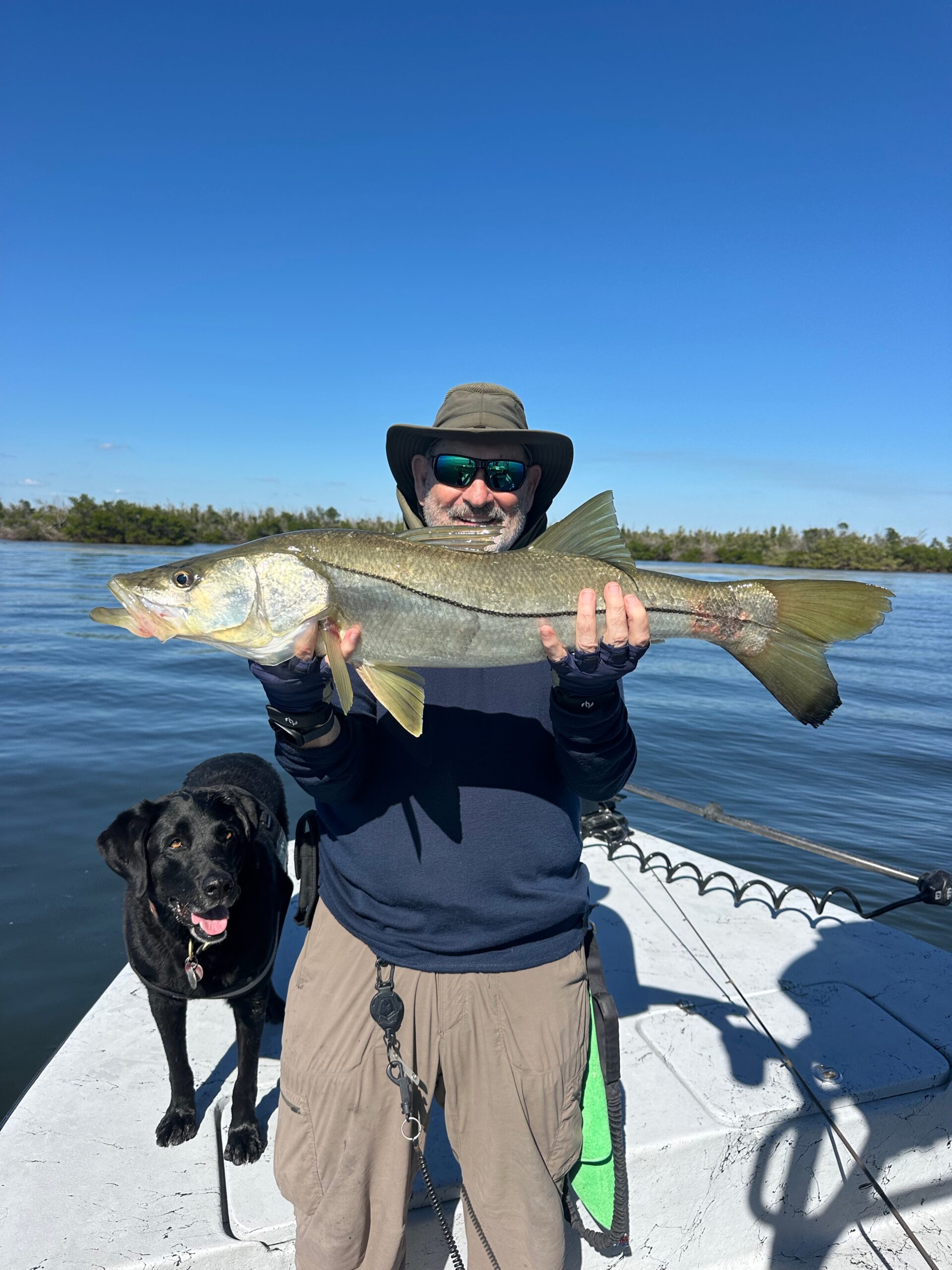 Punta Gorda & Boca Grande Fishing Report – Mid-November