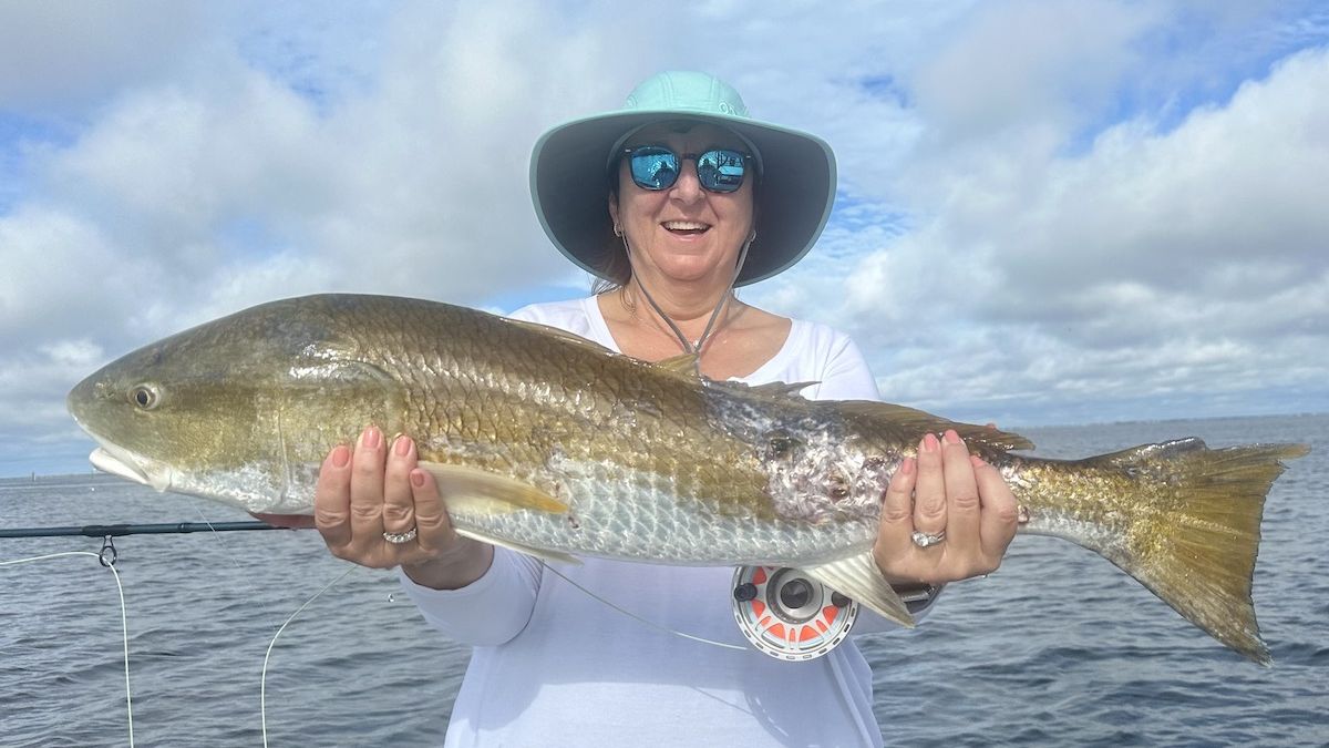 Woman holding a large redfish caught while fly fishing in Boca Grande, Florida