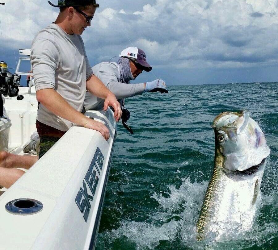 Boca Grande Tarpon Jump — ReelFishing Charters Anglers at the boat watching a giant tarpon jump during a ReelFishing Charters trip in Boca Grande.