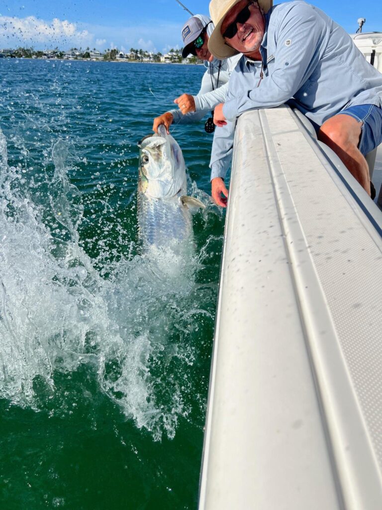 Tarpon Leaping Beside the Boat – Boca Grande Tarpon Fishing Tarpon leaping and splashing at the side of the boat during a ReelFishing Charters Boca Grande trip.