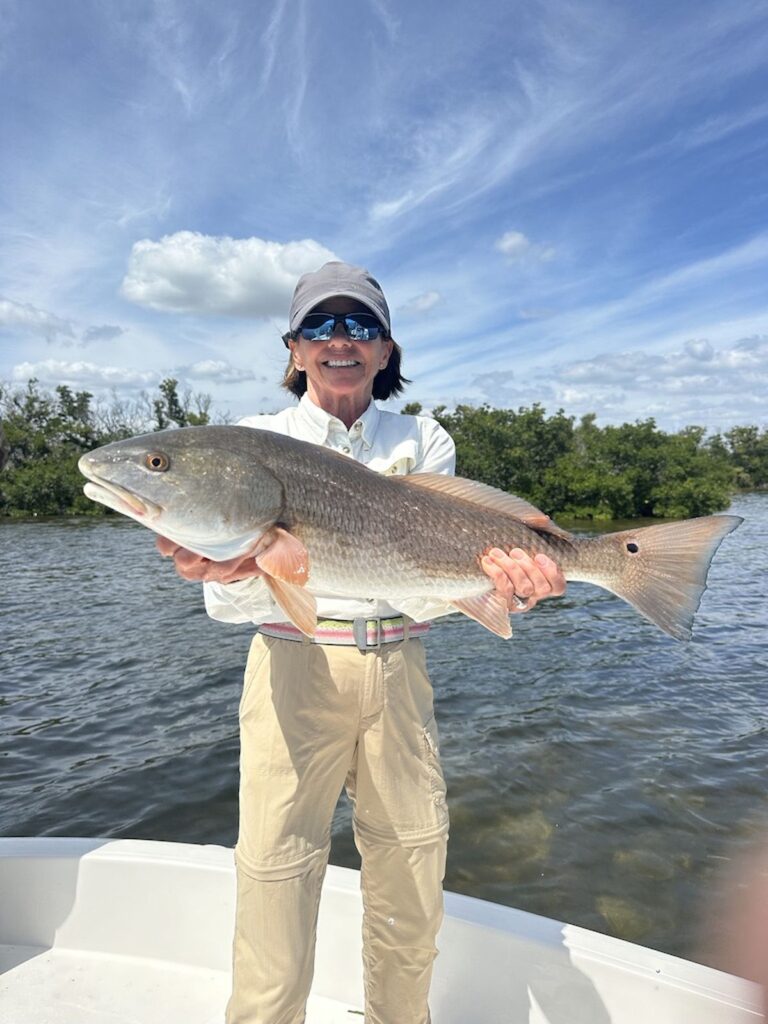 Englewood Florida Redfish Catch on ReelFishing Charter Angler holding a large redfish during an Englewood, FL inshore fishing charter with ReelFishing Charters.