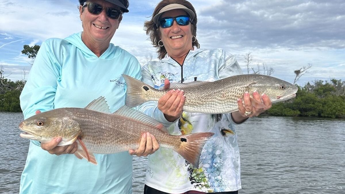 Mid-December Fishing Report | Punta Gorda & Boca Grande