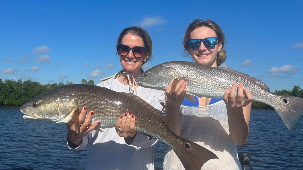 January 2026 Charlotte Harbor Fishing Report | ReelFishing Charters