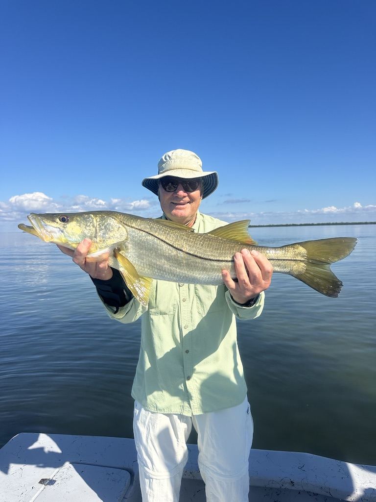 Charlotte Harbor snook January fishing report Angler holding a snook caught in Charlotte Harbor during a January fishing trip with ReelFishing Charters