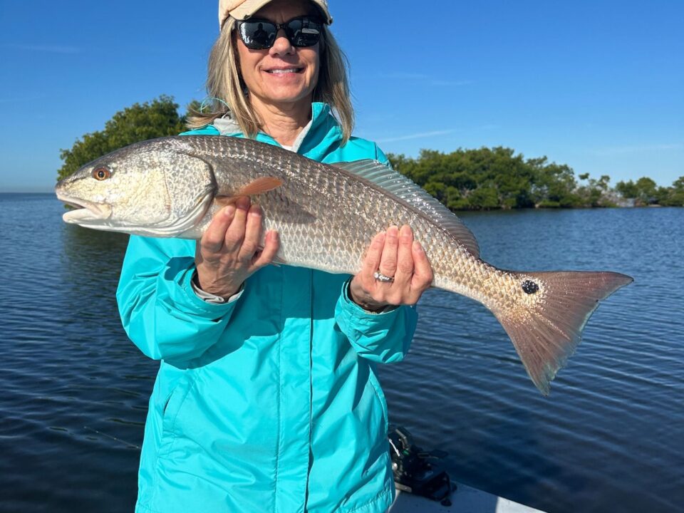 Angler holding a slot-size redfish during a January fishing charter in Charlotte Harbor with ReelFishing Charters
