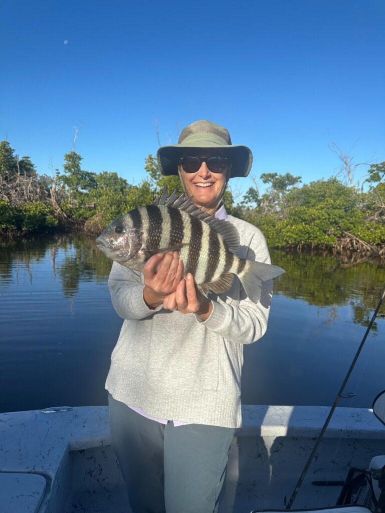 anuary 2026 Sheepshead Inshore Fishing Report – Punta Gorda FL Sheepshead caught during a January 2026 inshore fishing charter with ReelFishing Charters near Punta Gorda, Florida.
