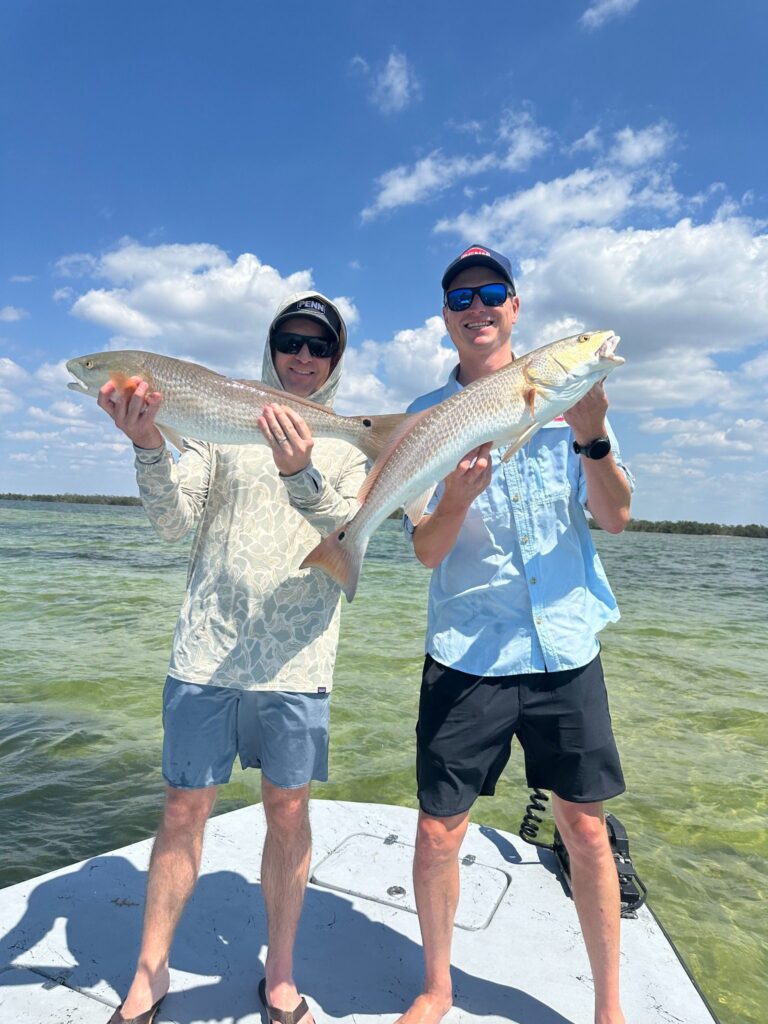 Charlotte Harbor Redfish – Spring Fishing Trip Redfish caught during a Punta Gorda fishing charter in Charlotte Harbor