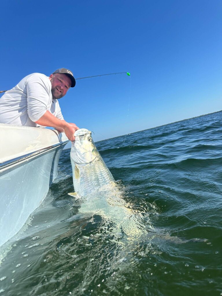 Pine Island Sound Tarpon Fishing Report Tarpon caught in Pine Island Sound using live bait Southwest Florida