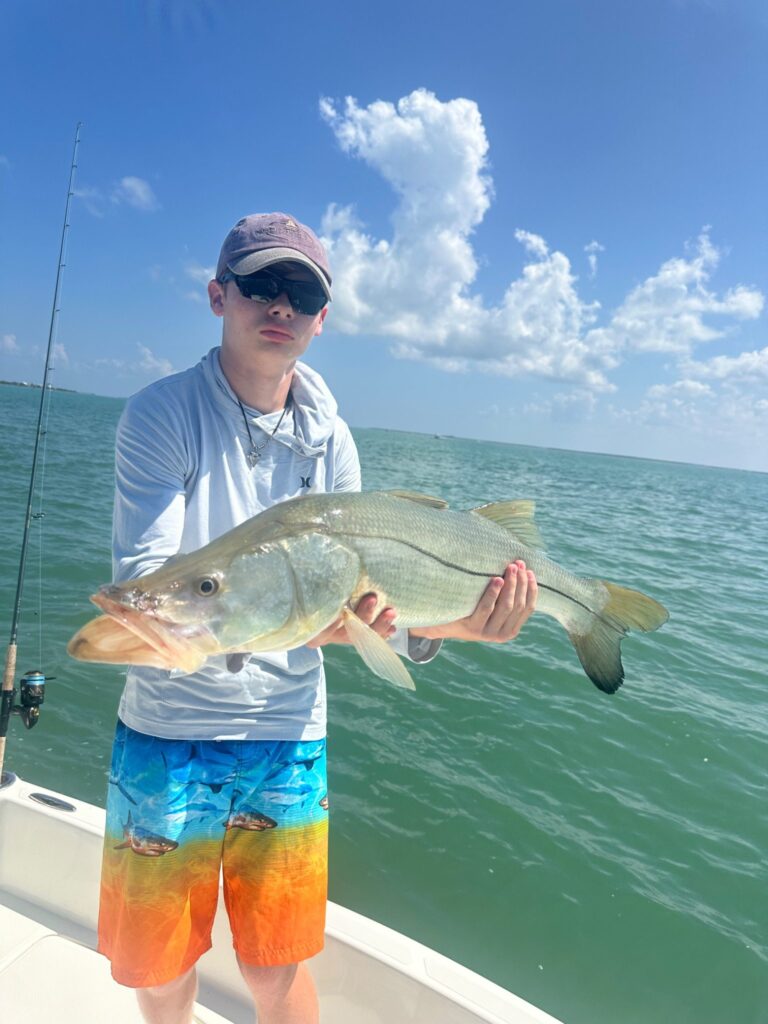 August 2026 Punta Gorda Snook Fishing Charter Angler holding a healthy snook during an August fishing charter near Punta Gorda and Charlotte Harbor with ReelFishing Charters.
