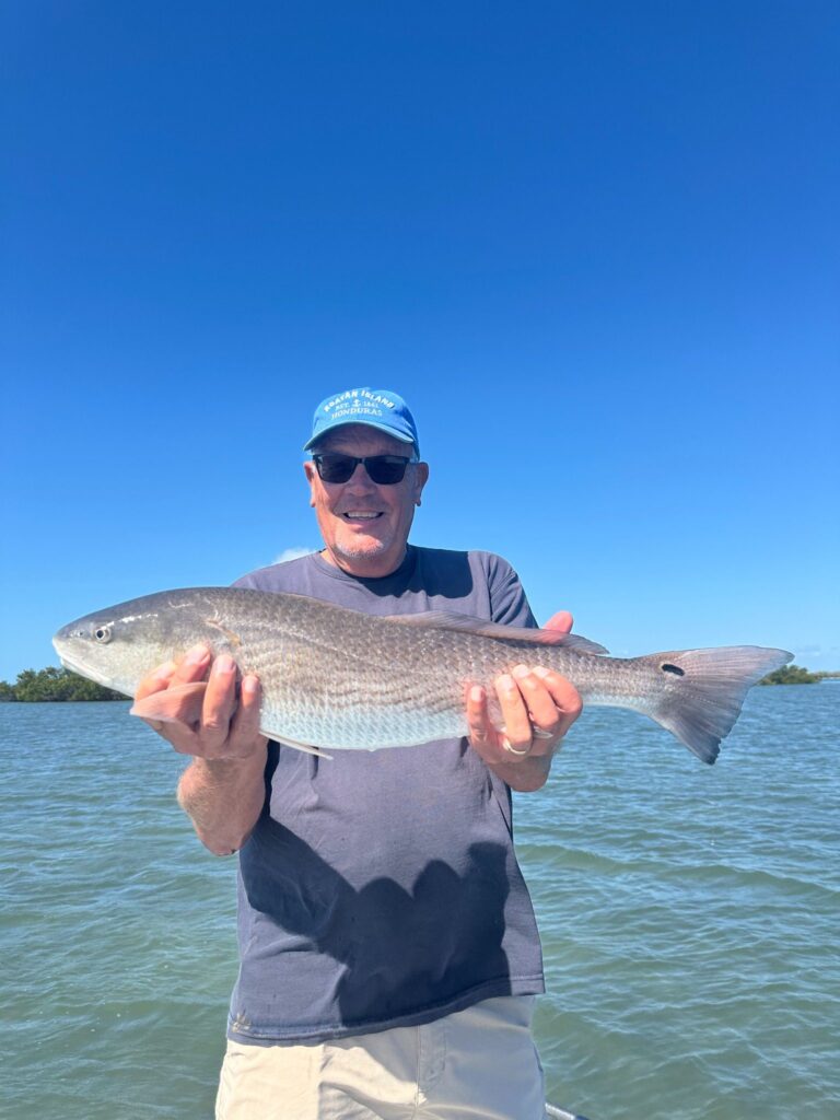 Charlotte Harbor Redfish Fishing Report | July 2026 Angler holding a slot-sized redfish caught during a July fishing charter in Charlotte Harbor, Florida.