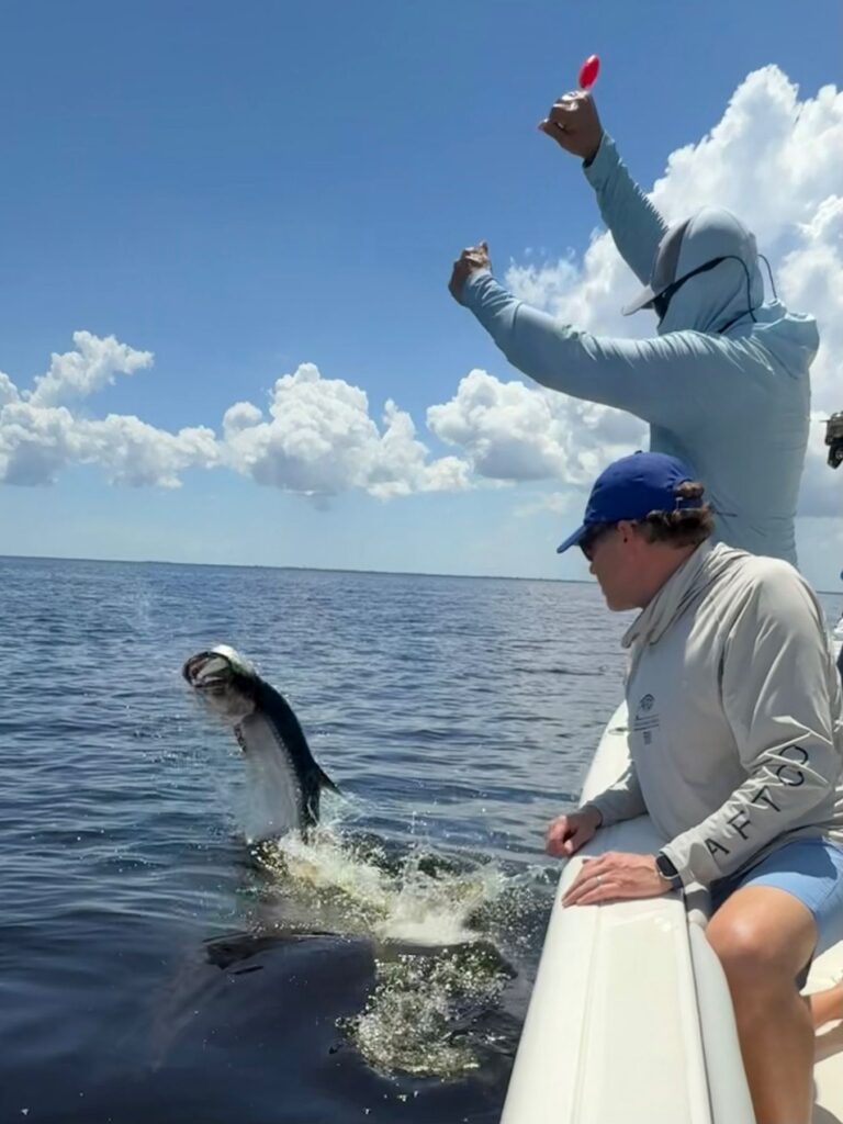 Fall Tarpon Fishing in Boca Grande Tarpon jumping beside the boat during a fall Boca Grande fishing charter