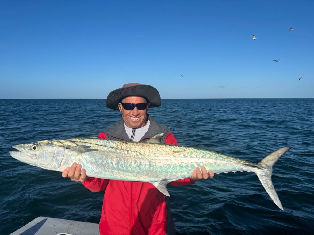 Fall Kingfish Fishing Near Boca Grande Angler holding a large kingfish during fall fishing near Boca Grande Florida