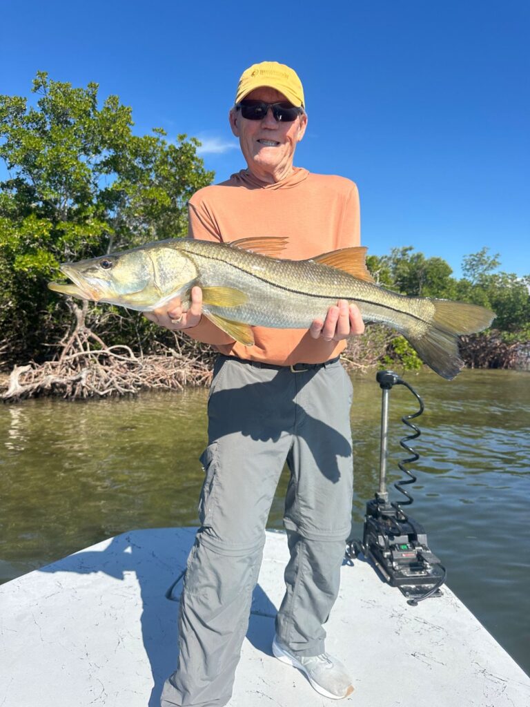 Fall Snook Fishing in Punta Gorda Angler holding a large snook caught while fishing the backwaters near Punta Gorda