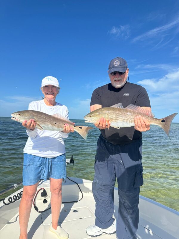 punta-gorda-redfish-fishing-charter-couple Two anglers holding Redfish caught on a Punta Gorda fishing charter
