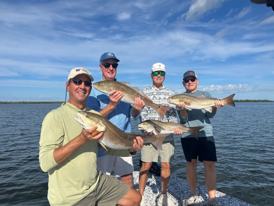 Four anglers holding redfish caught on a Charlotte Harbor fishing charter in Southwest Florida.